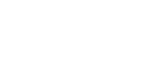 Shopify Premier Partner badge
