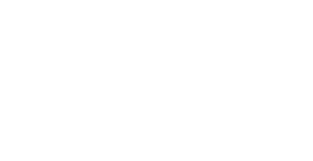 Naudic